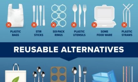 What alternatives to plastic are being developed using paper materials?