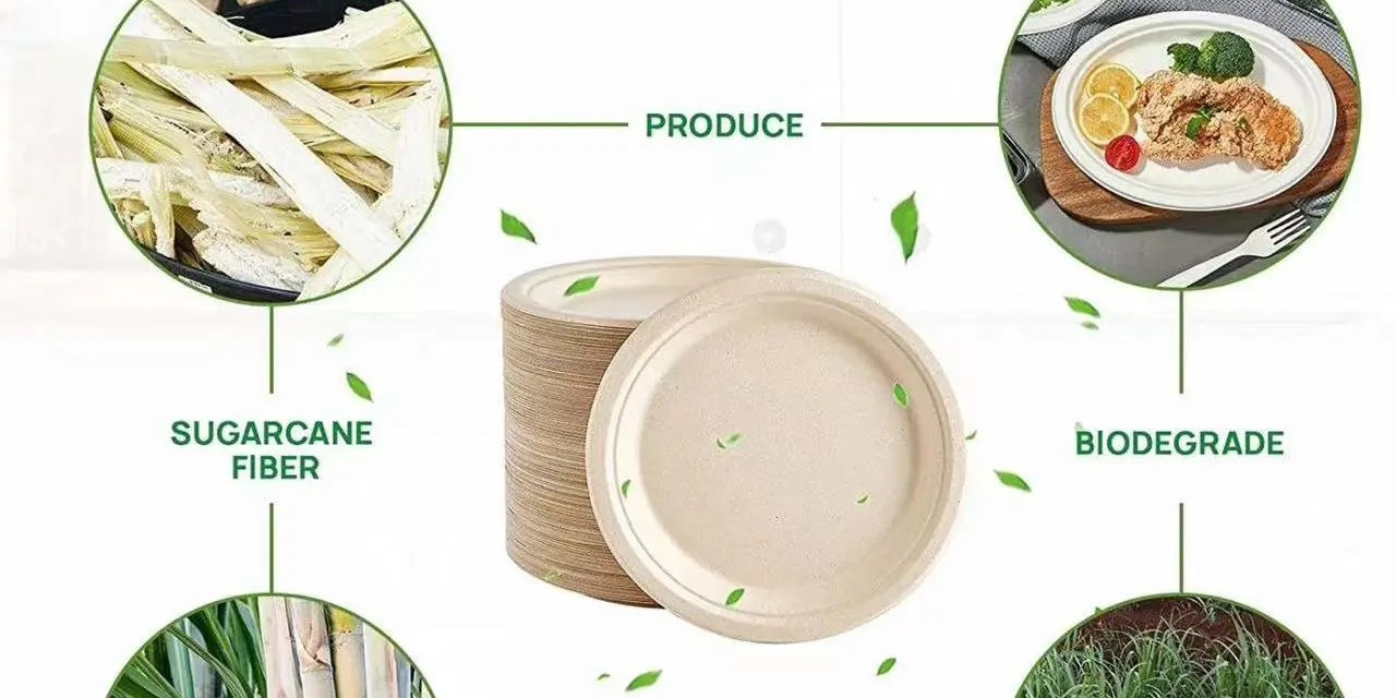 How are biodegradable and compostable paper goods produced?