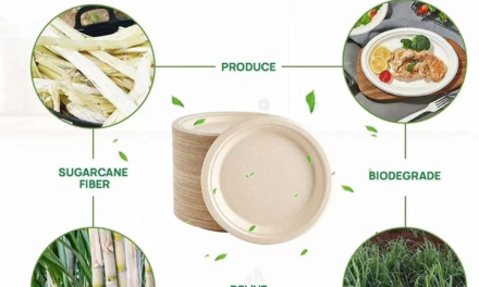 How are biodegradable and compostable paper goods produced?