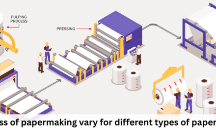 How does the process of papermaking vary for different types of paper products?