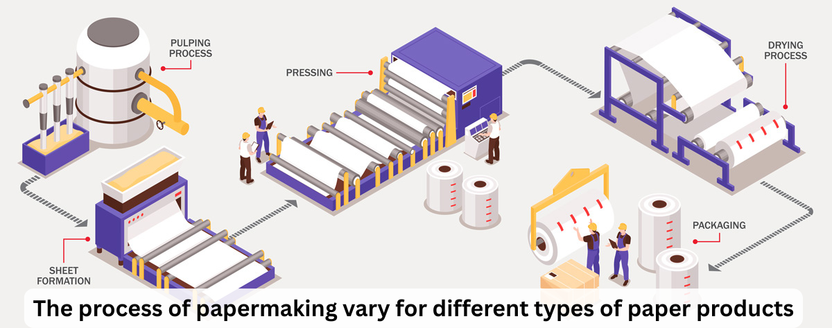 How does the process of papermaking vary for different types of paper products?