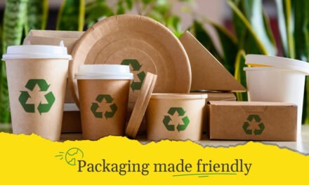 How are paper products being made more eco-friendly through innovation?