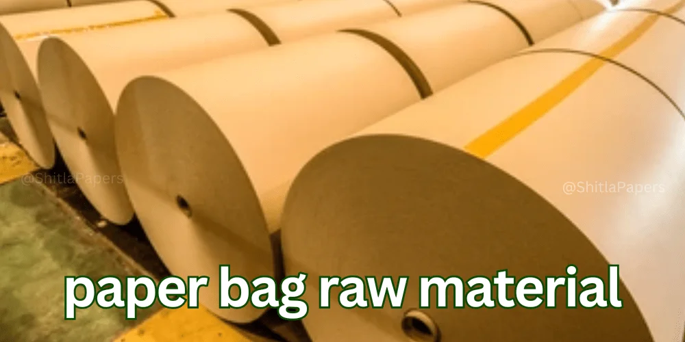 How are paper bags produced, from raw material to finished product?