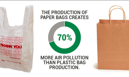 How do paper bags compare to plastic bags in terms of environmental impact?