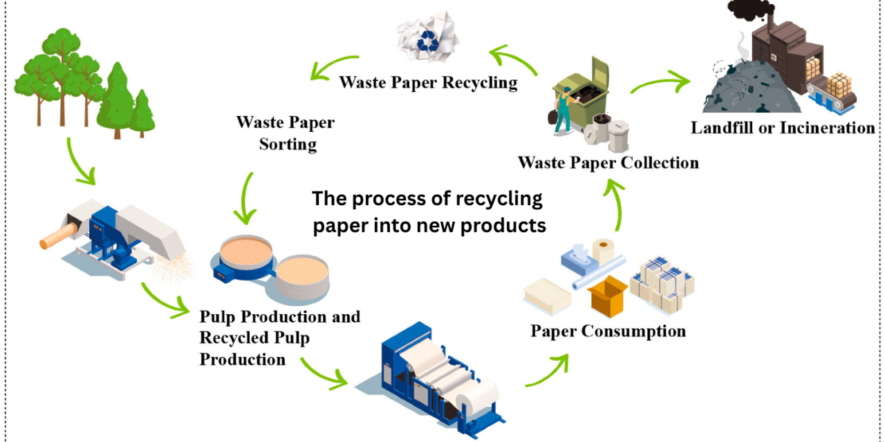 What is the process of recycling paper into new products?