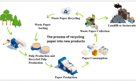 What is the process of recycling paper into new products?
