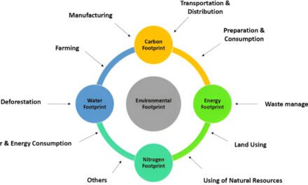 How are paper packaging boxes made more sustainable, and what materials are used to improve their environmental footprint?