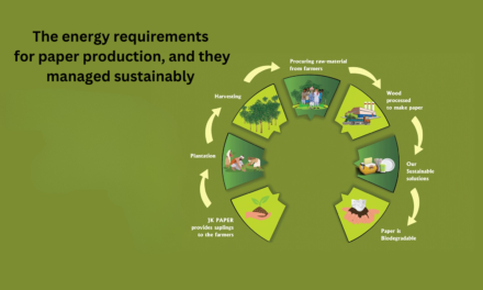 What are the energy requirements for paper production, and how are they managed sustainably?