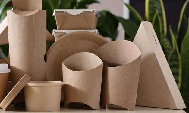 What innovations are driving the development of eco-friendly and biodegradable household paper products?