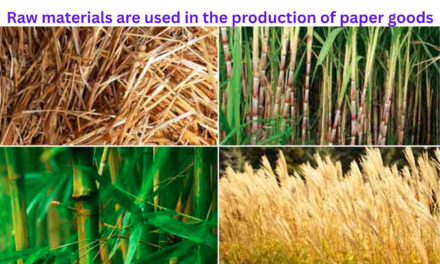 What raw materials are used in the production of paper goods?