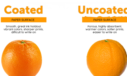 How do coated and uncoated papers differ in functionality and application?