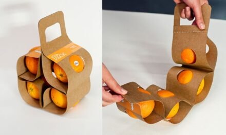 What role does design play in the functionality and aesthetics of paper packaging?