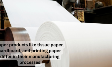 How do paper products like tissue paper, cardboard, and printing paper differ in their manufacturing processes?