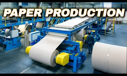 What are the main types of paper produced and their applications?