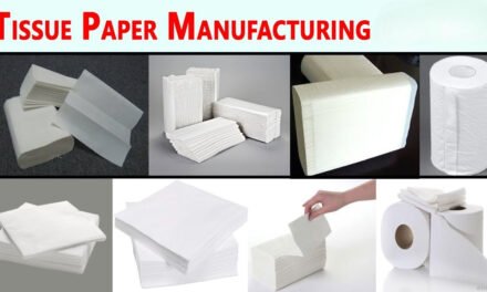 How do paper roll sizes vary depending on their intended use in industries like newspaper printing, packaging, or tissue manufacturing?