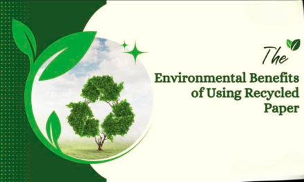 What are the environmental benefits of using recycled paper rolls in printing and packaging?