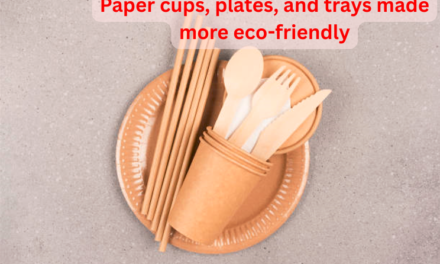 How are paper cups, plates, and trays made more eco-friendly, and what sustainable materials are used?