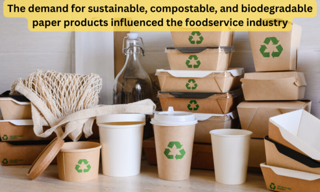 How has the demand for sustainable, compostable, and biodegradable paper products influenced the foodservice industry?