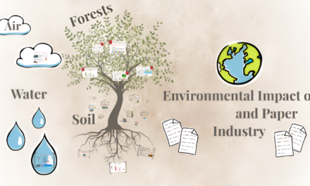 How does water usage in paper production affect the environment?