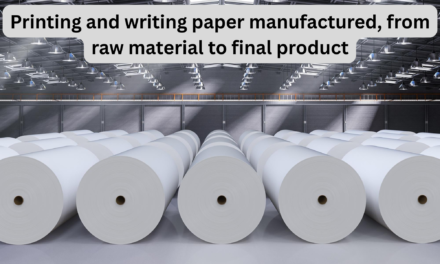 How is printing and writing paper manufactured, from raw material to final product?