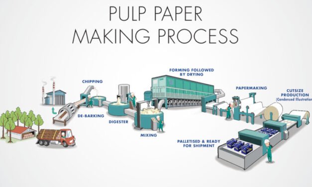 What is the role of pulp in the production of printing and writing papers?
