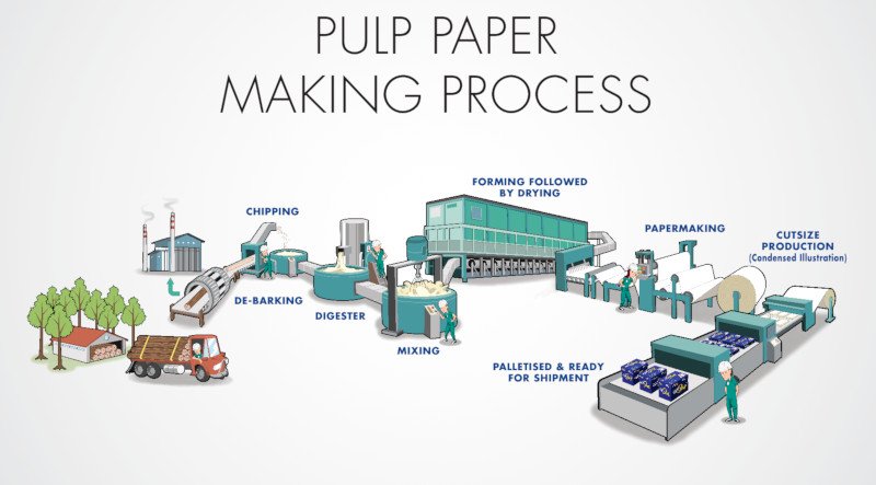 What is the role of pulp in the production of printing and writing papers?